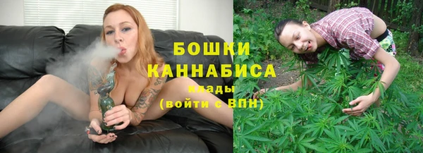 крисы Лабытнанги