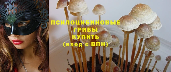 крисы Лабытнанги
