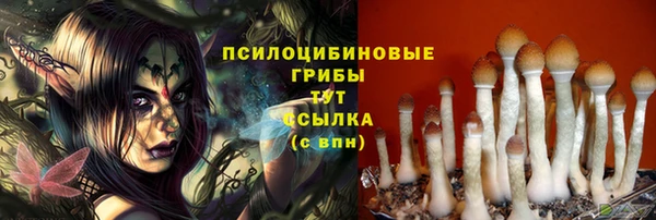 альфа пвп Лиски