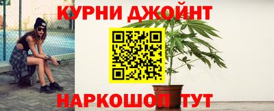 крисы Донской