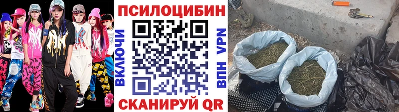 Псилоцибиновые грибы Psilocybe  купить наркотик  Междуреченск 