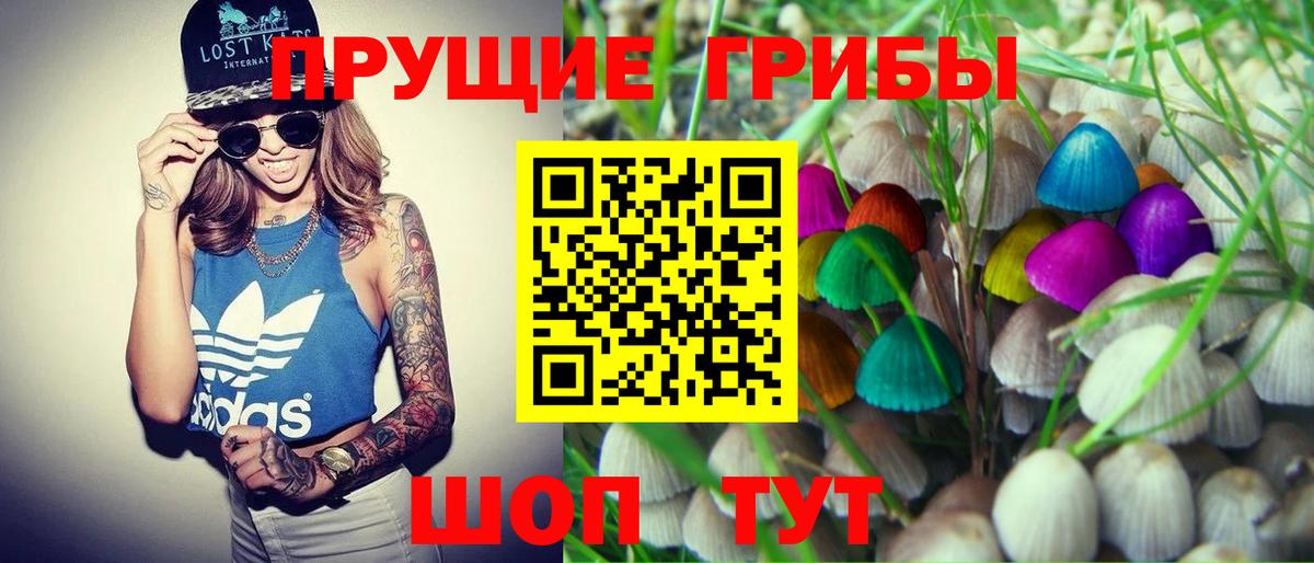 Междуреченск  Псилоцибиновые грибы Psilocybe  Вход с VPN 